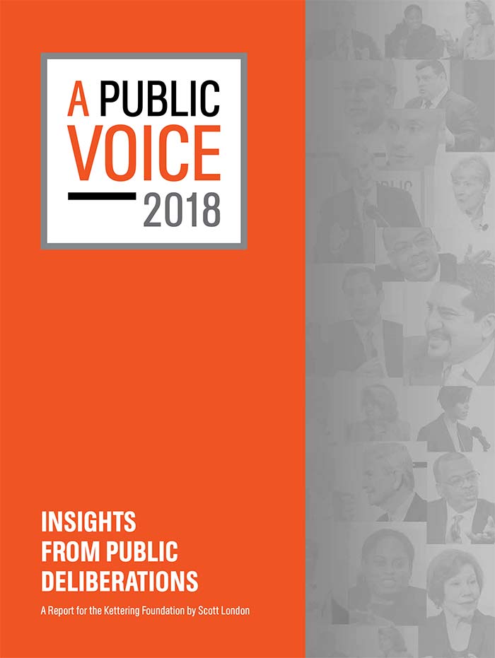 A Public Voice 2018 – A Report by Scott London